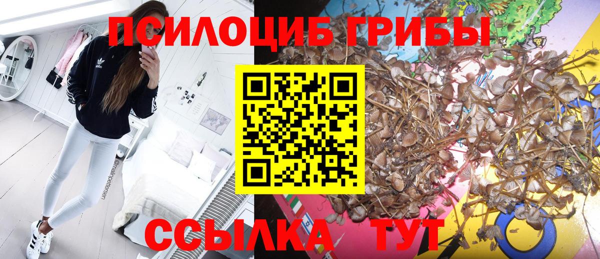 Галлюциногенные грибы Magic Shrooms Псков