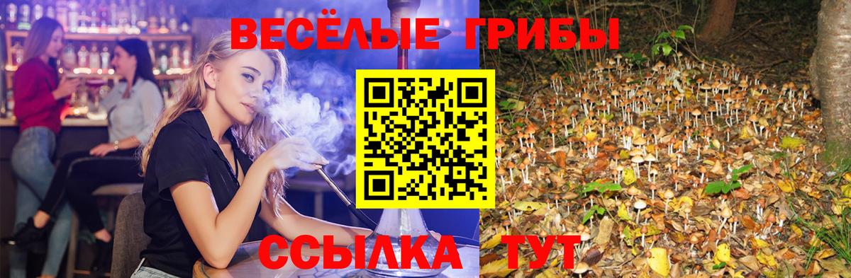 Псилоцибиновые грибы Cubensis  Вход с VPN  Псков 